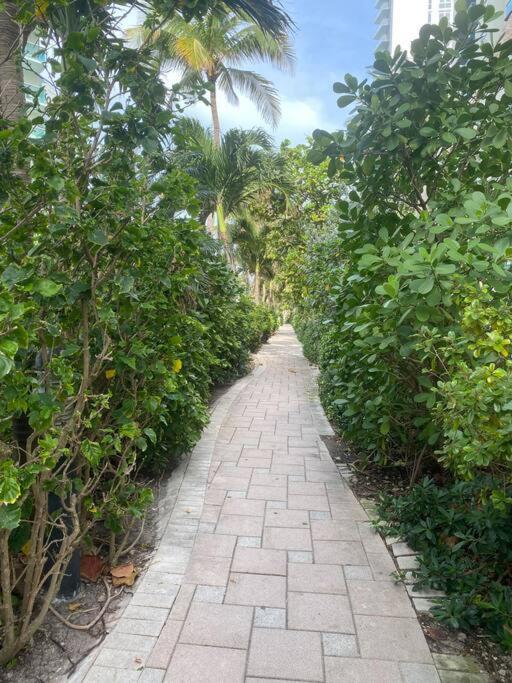 Beachwalk 1B-1B Apmt Amazing View 12A Hallandale Beach Zewnętrze zdjęcie